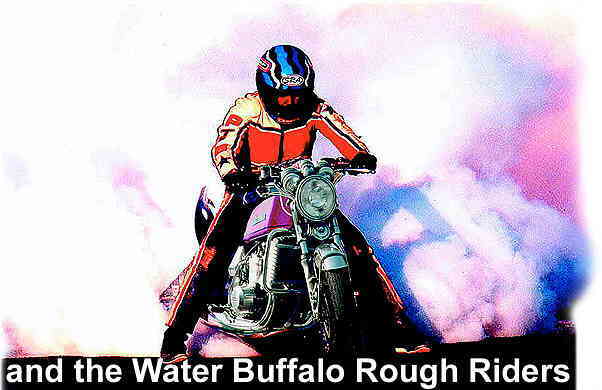 Suzuki GT750 Water Buffalo Society of Smoke Riders Association, two strokes, 2strokes, motorcycles