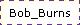 Bob_Burns