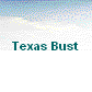 Texas Bust